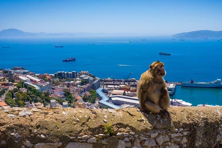 Gibraltar und Mijas Tour von Málaga — Foto 5