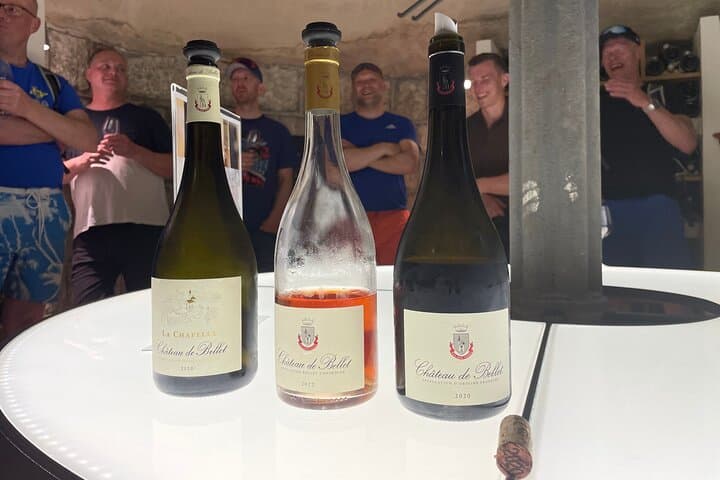 Giro in bici elettrica: Vigna biologica di Bellet Partenza da Nizza — foto 2