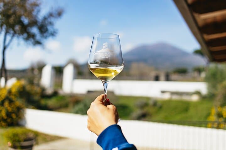 Weinverkostung & Mittagessen am Vesuv: Weingut-Tour ab Neapel — Foto 5