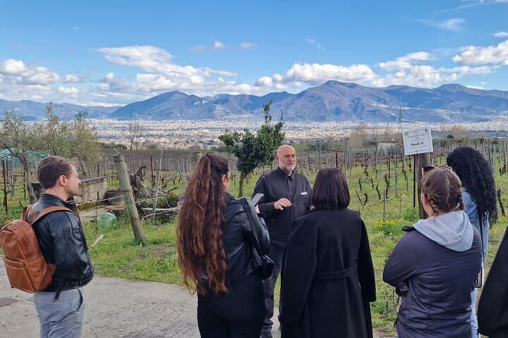 Weinverkostung & Mittagessen am Vesuv: Weingut-Tour ab Neapel — Foto 2