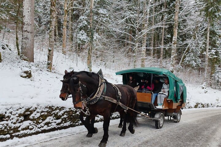 Tour del Castello di Neuschwanstein e Mercato di Natale di Monaco — foto 3