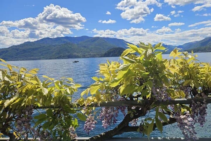 Excursion d'une journée au lac de Côme depuis Milan : Varenna, Bellagio et Côme — photo 4