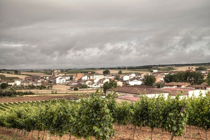 Ribera del Duero und La Rioja Wein- und Naturtour von Madrid — Foto 2