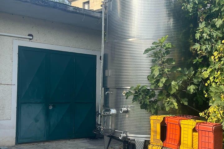 Expérience Privée de Vin et Saveurs en Irpinia depuis Amalfi — photo 5