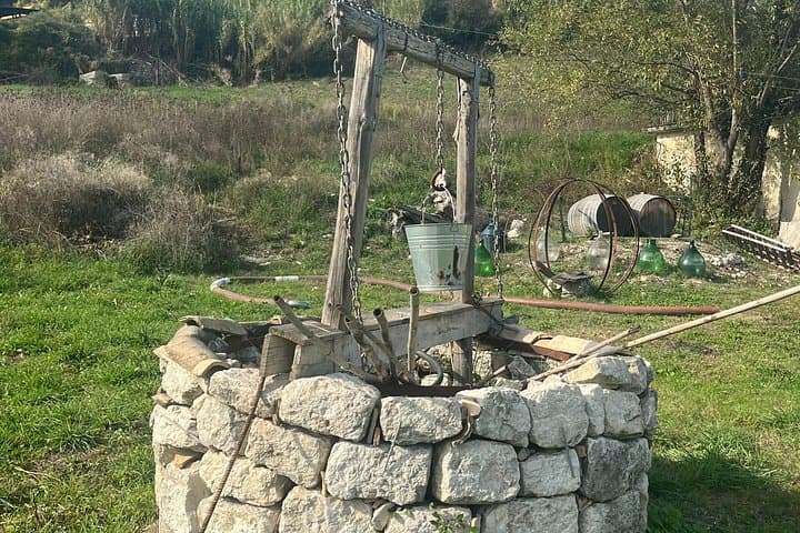 Expérience Privée de Vin et Saveurs en Irpinia depuis Amalfi — photo 4