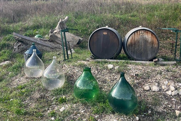 Expérience Privée de Vin et Saveurs en Irpinia depuis Amalfi — photo 3
