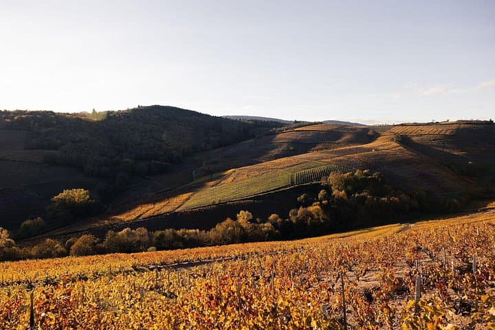 Tour privato in 4x4 di mezza giornata nel Beaujolais — foto 2