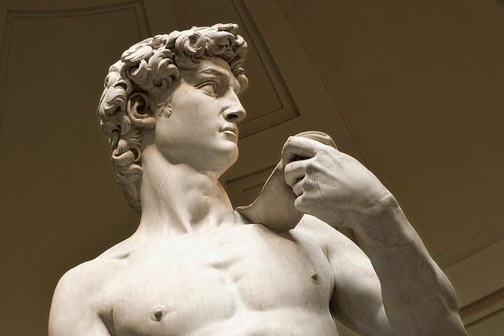 Firenze: Biglietto d'ingresso con orario programmato per la Galleria dell'Accademia