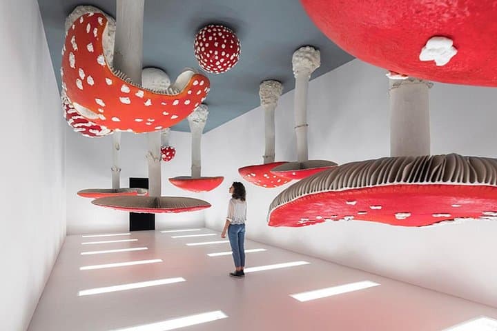 Tour guidato di un'intera giornata nei principali musei di Milano con pranzo — foto 2