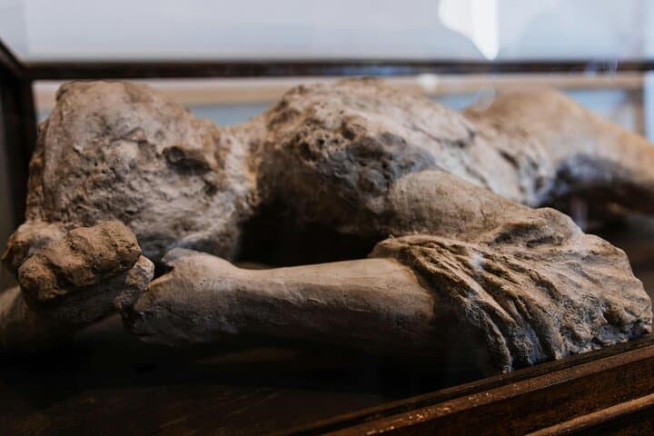 Pompei e Escursione sul Vesuvio con Degustazione di Vini — Gruppo Ridotto, Tutto Incluso — foto 4