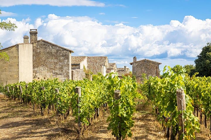 Excursión de un día a Saint‑Émilion y su vino desde Burdeos — foto 2