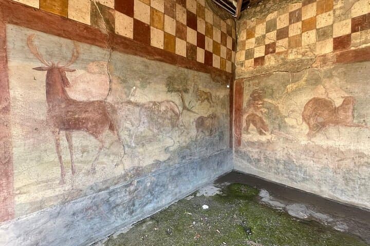 Tour guidato condiviso di Pompei con degustazione di vini da Napoli — foto 3