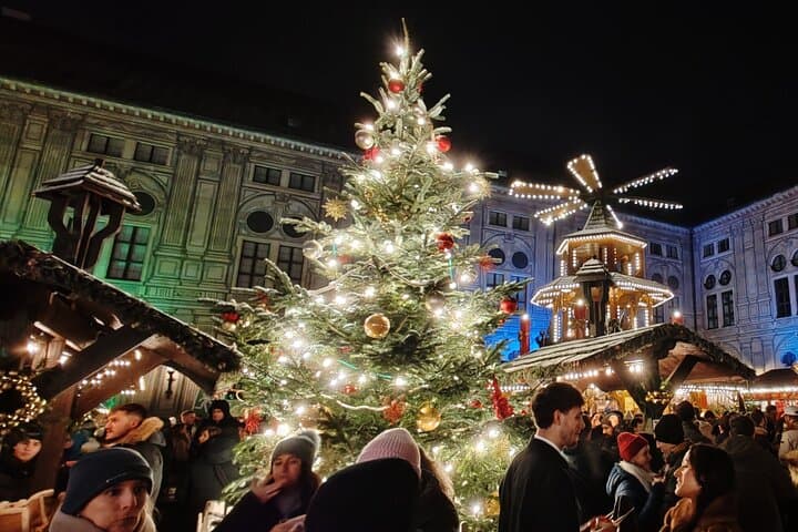 Tour del Castello di Neuschwanstein e Mercato di Natale di Monaco — foto 2