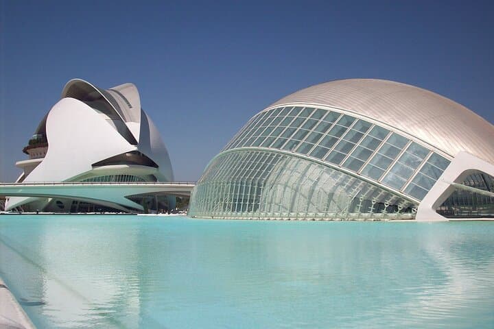 Tour Privato della Città delle Arti e delle Scienze di Valencia — foto 5