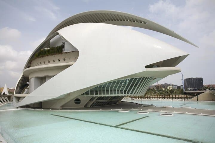 Tour Privato della Città delle Arti e delle Scienze di Valencia — foto 4