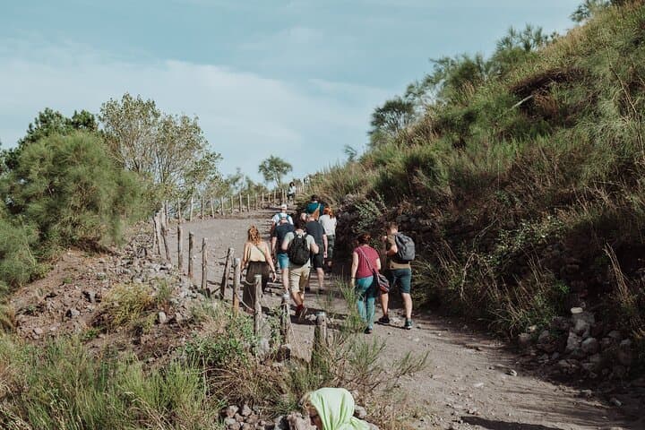 Excursión de un día a Pompeya y el Monte Vesubio desde Roma — foto 2