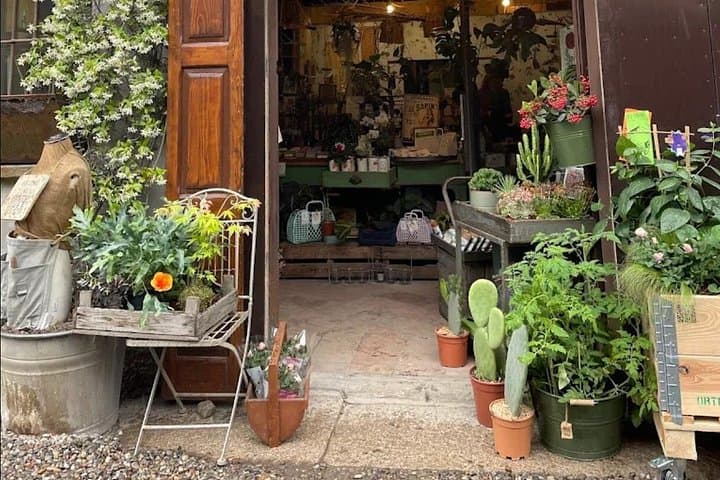Corso di Kokedama Giapponese nel Quartiere Navigli di Milano — foto 2