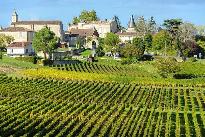 Private Walking Tour in Bordeaux — Foto 4