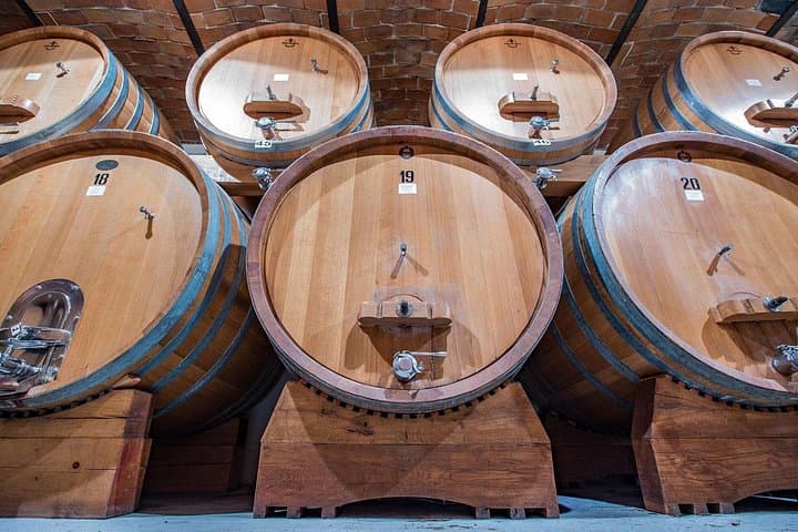 Dégustation de vins avec des collations à Neive, au cœur du Langhe — photo 5