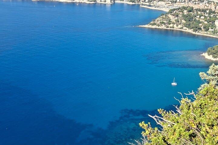 Tour condiviso di mezza giornata a Cassis con degustazione di vini