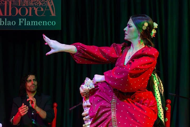 Espectáculo de Flamenco en Granada