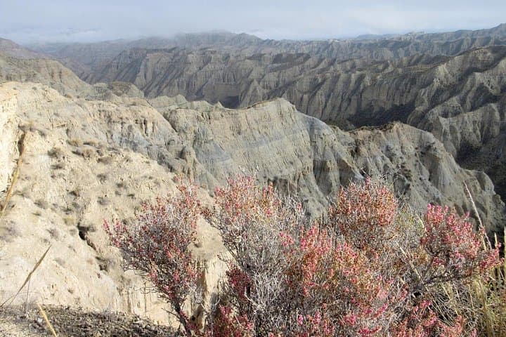 Viaje en E-MTB por el Desierto de Gorafe — foto 2
