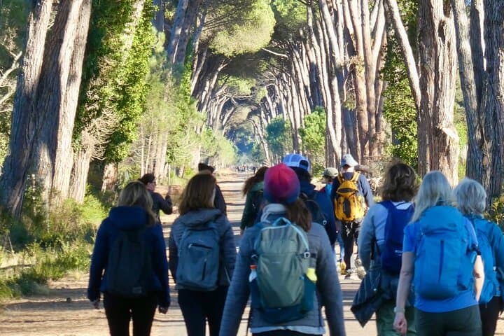 Senderismo en el Parque San Rossore