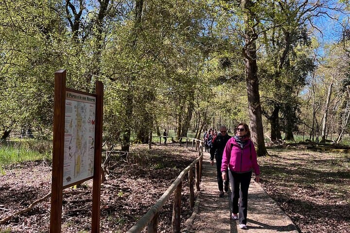 Senderismo en el Parque San Rossore — foto 3