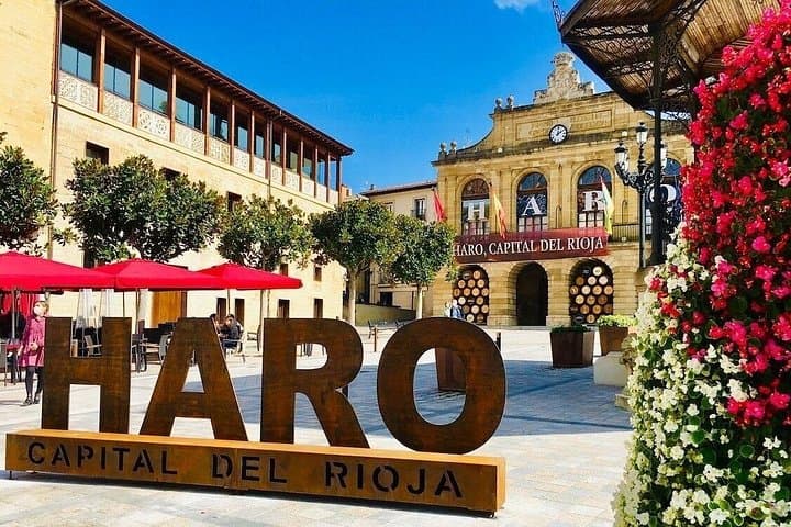 Tagesausflug nach Haro, Laguardia & zwei Rioja-Weingüter von Bilbao — Foto 4