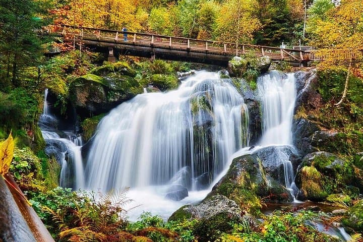Da Strasburgo al Black Forest a Triberg Titisee Freiburg — foto 2