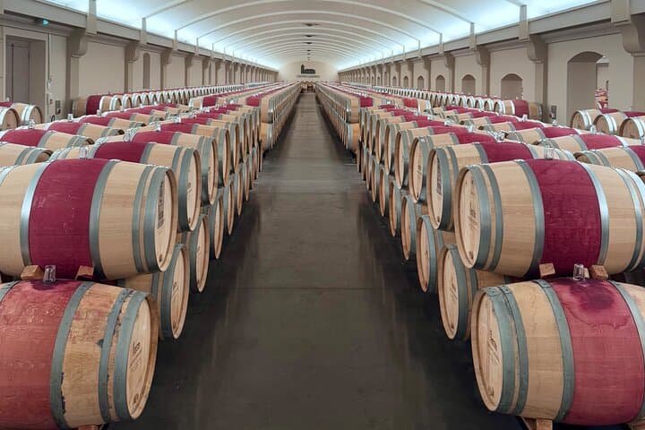 Tour Privado de Vinos del Médoc: Margaux, Pauillac, Saint-Julien — foto 2