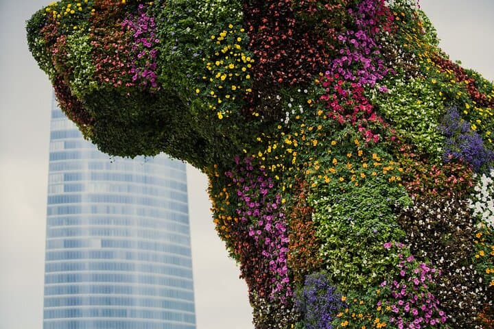 Tour Privato del Guggenheim di Bilbao e della Costa Basca da San Sebastian — foto 3