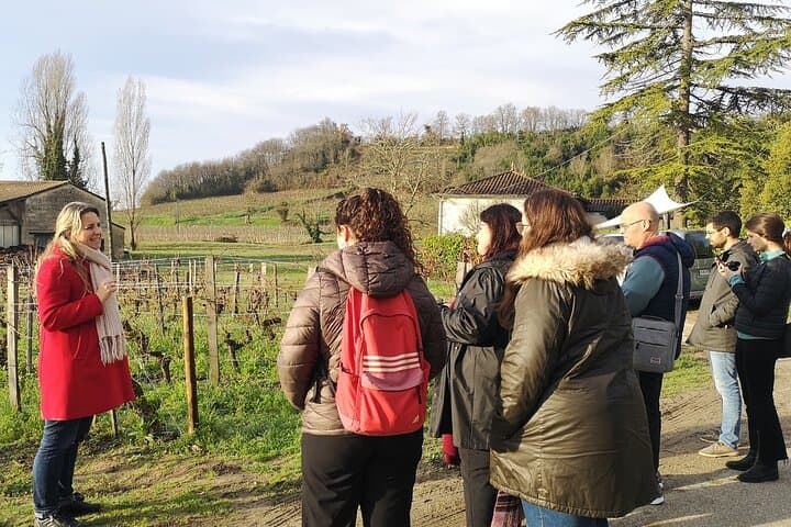 Visite des Vins de Saint-Émilion : Vignoble et Village — photo 2