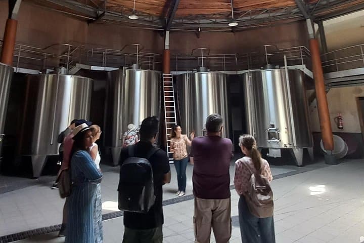 Bordeaux Wein Tour abseits der ausgetretenen Pfade (rote & weiße Weine) — Foto 4
