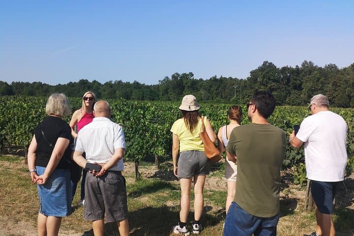 Medio día en el Médoc: 2 bodegas y 6 vinos — foto 3