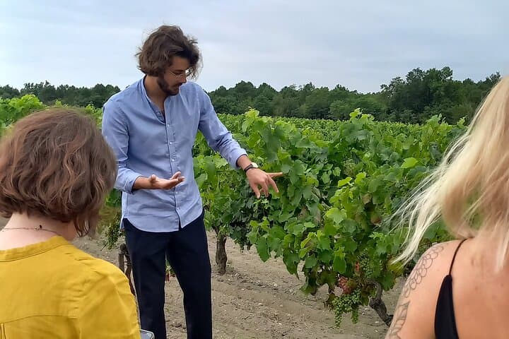 Medio día en el Médoc: 2 bodegas y 6 vinos — foto 4