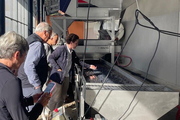 Medio día en el Médoc: 2 bodegas y 6 vinos — foto 5
