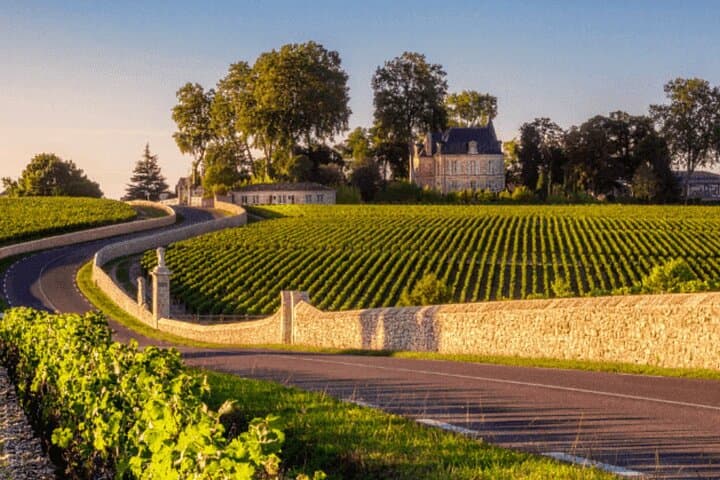 Medio día en el Médoc: 2 bodegas y 6 vinos