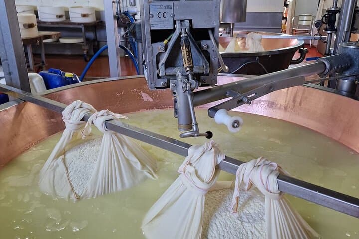 Tour di un'intera giornata tra cibo e museo Ferrari in Emilia Romagna — foto 2
