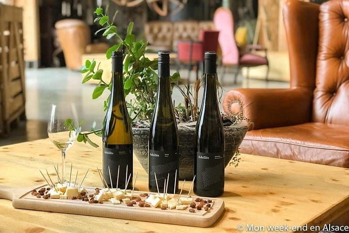 Elsass: Weinverkostung in den Vogesen — Foto 4