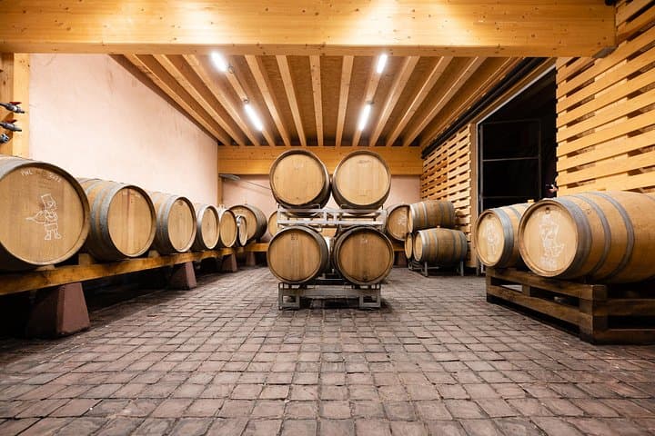 Elsass: Weinverkostung in den Vogesen — Foto 5