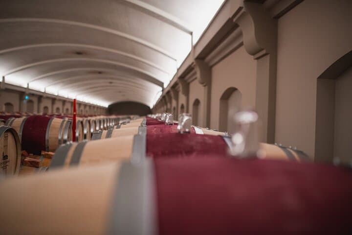 St-Emilion &amp; Médoc Wine Day Tour — photo 5