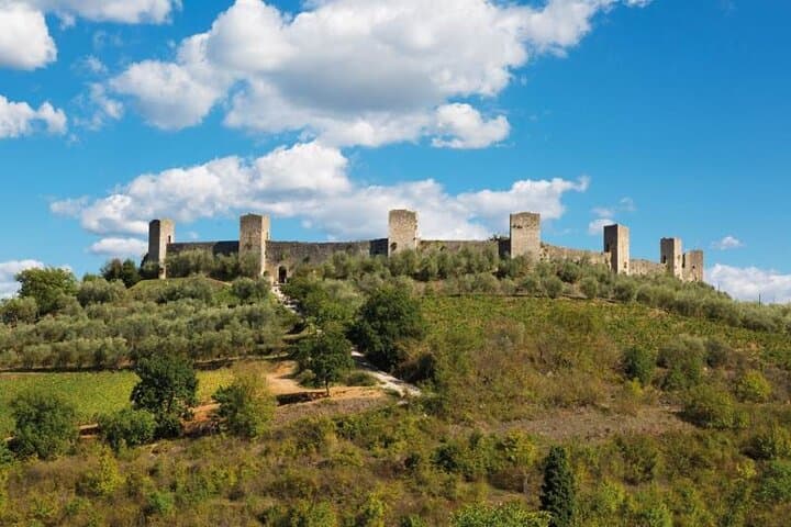 Excursión de un día a Pisa, Siena y San Gimignano desde Florencia — foto 2