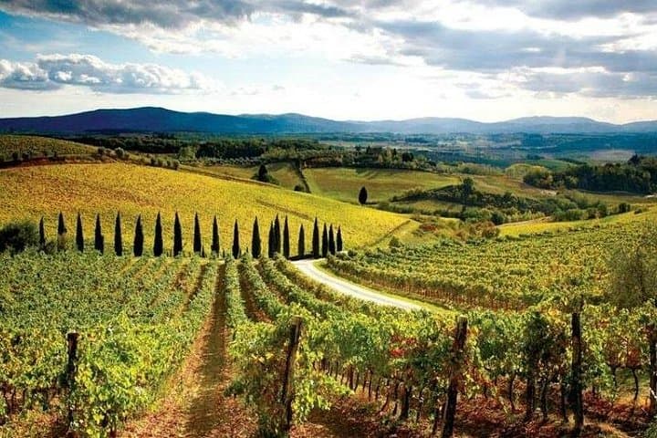 Pisa, Siena and San Gimignano Day Trip from Florence — photo 3