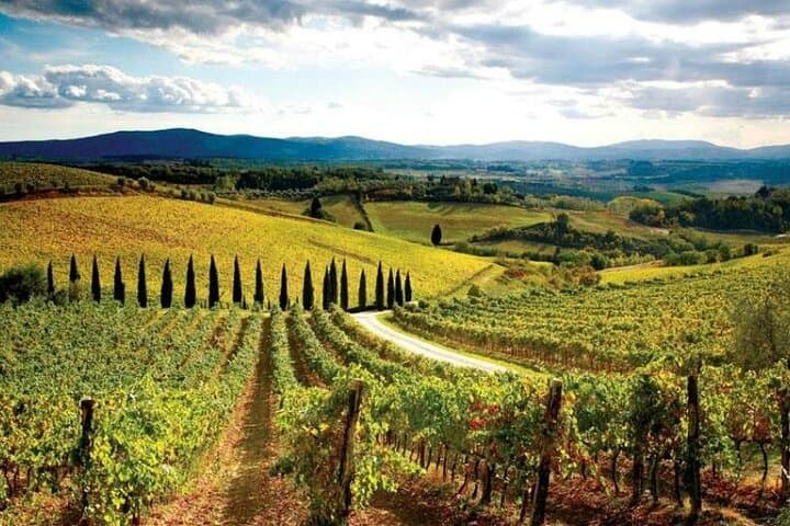 Excursión de un día a Pisa, Siena y San Gimignano desde Florencia — foto 3