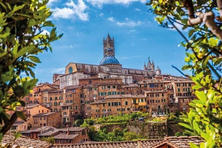 Pisa, Siena and San Gimignano Day Trip from Florence — photo 5