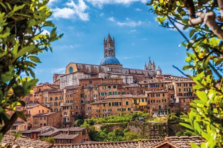Excursión de un día a Pisa, Siena y San Gimignano desde Florencia — foto 5