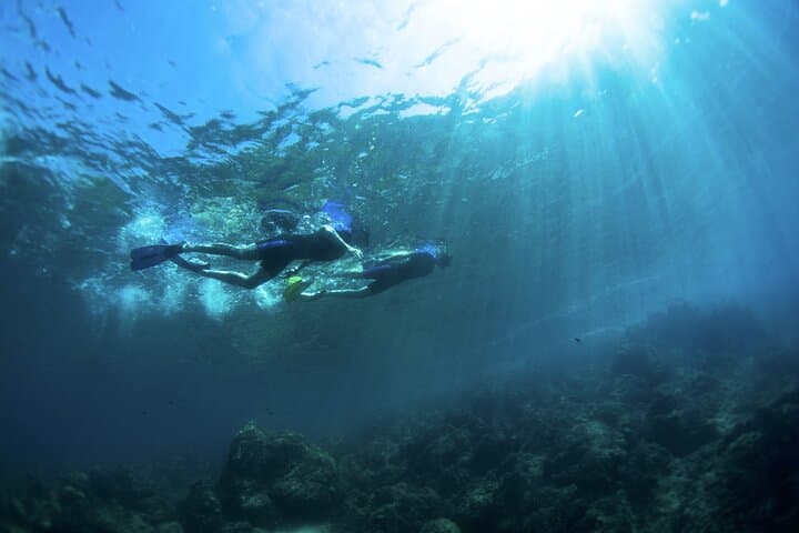 Boat trip and snorkeling in Villefranche-sur-Mer — photo 3