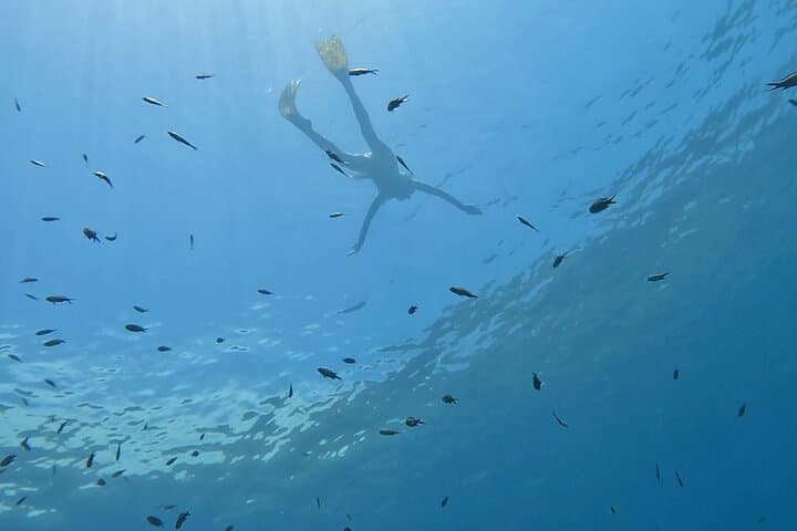Boat trip and snorkeling in Villefranche-sur-Mer — photo 5