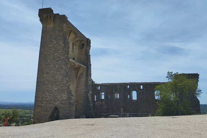 Expérience Vinicole à Châteauneuf-du-Pape — photo 2